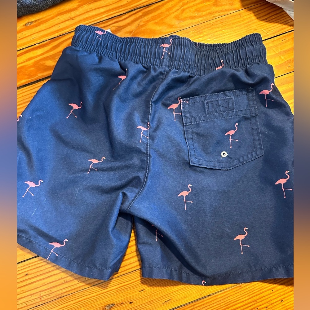 Swim Trucks